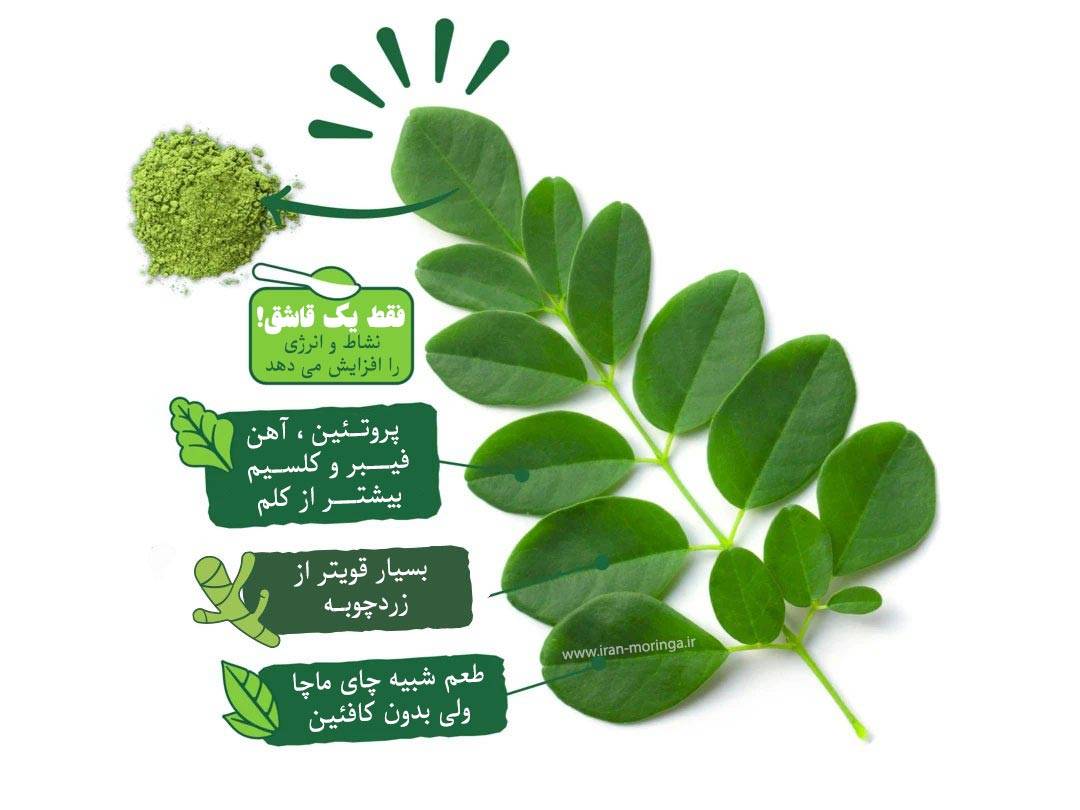 خواص شگفت انگیز پودر مورینگا اولیفیرا