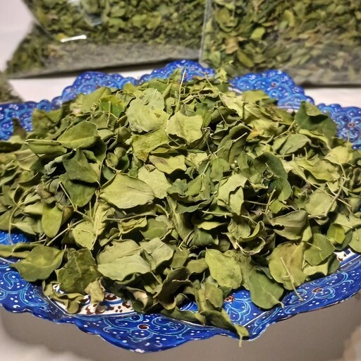 برگ مورینگا